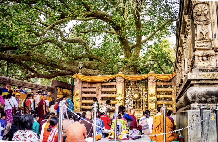 People meditating under the Bodhi Tree in Bodhgaya, India.