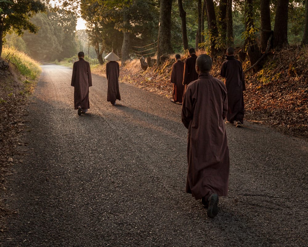 Monastics of the Plum Village community walking.