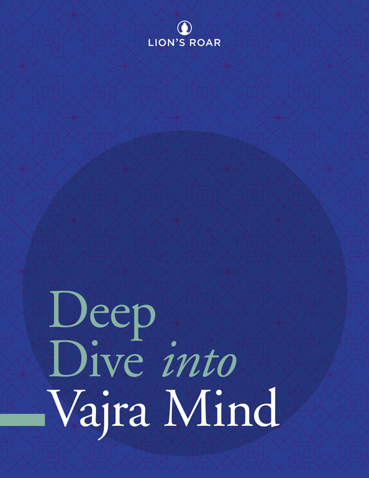 Deep Dive into Vajra Mind