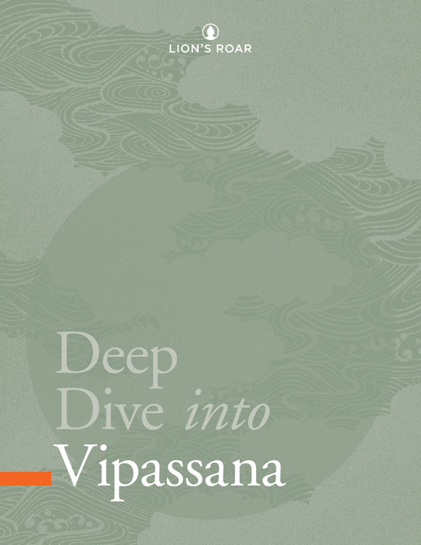 Deep Dive into Vipassana