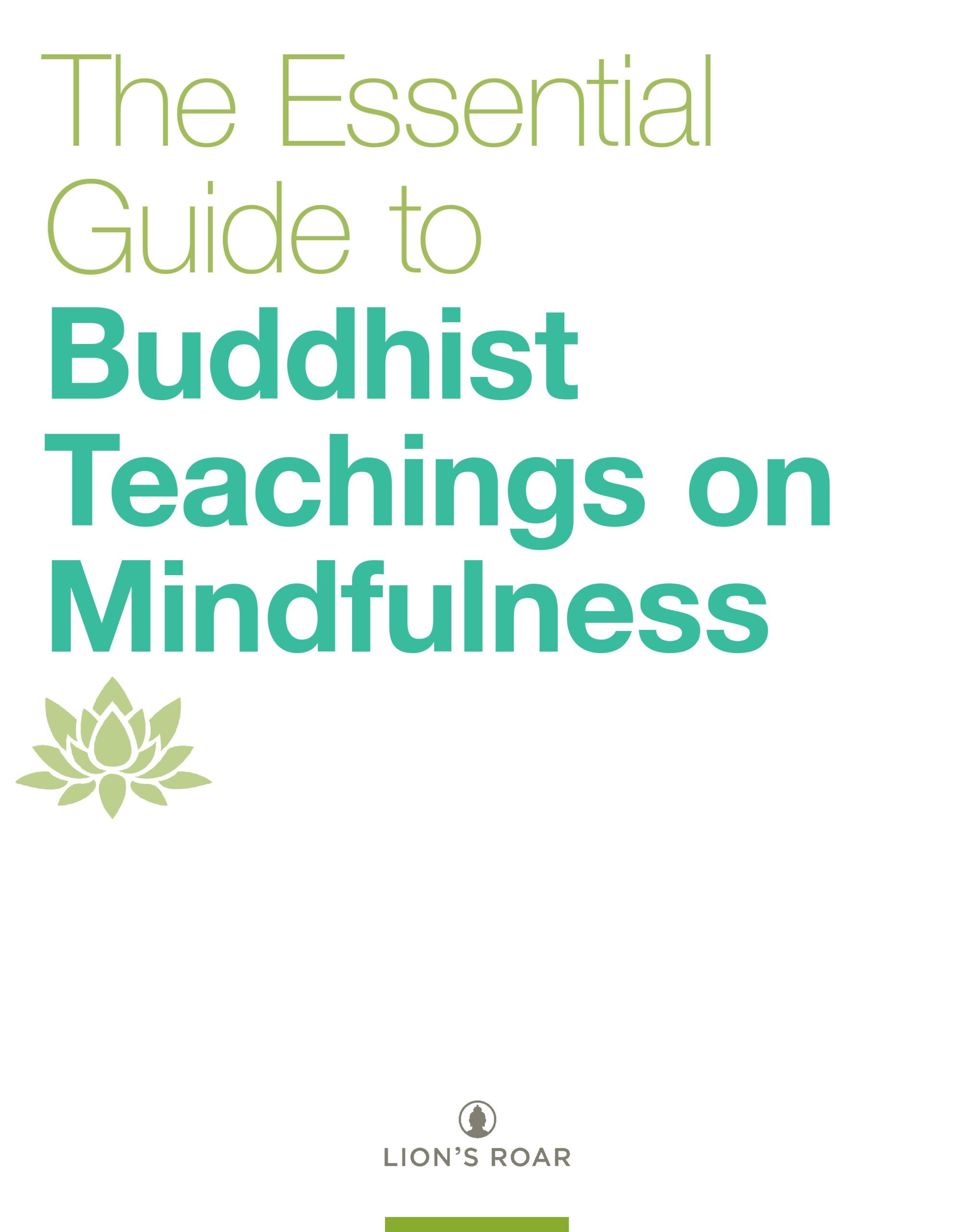 The Essential Guide to Buddhist Teachings on Mindfulness