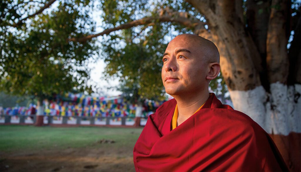 Mingyur Rinpoche sitting under a tree, looking off into the distance.