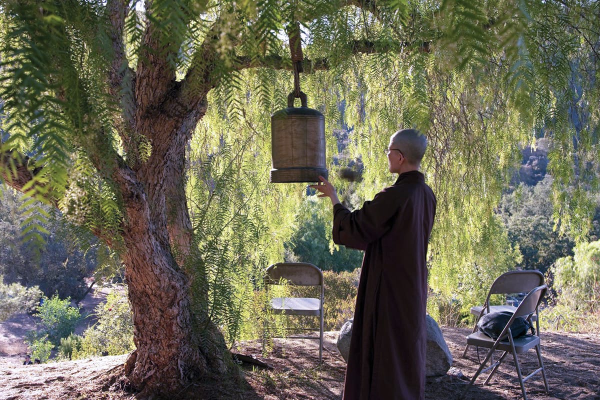 A plum village monastic rings a bell that is hanging in a tree.