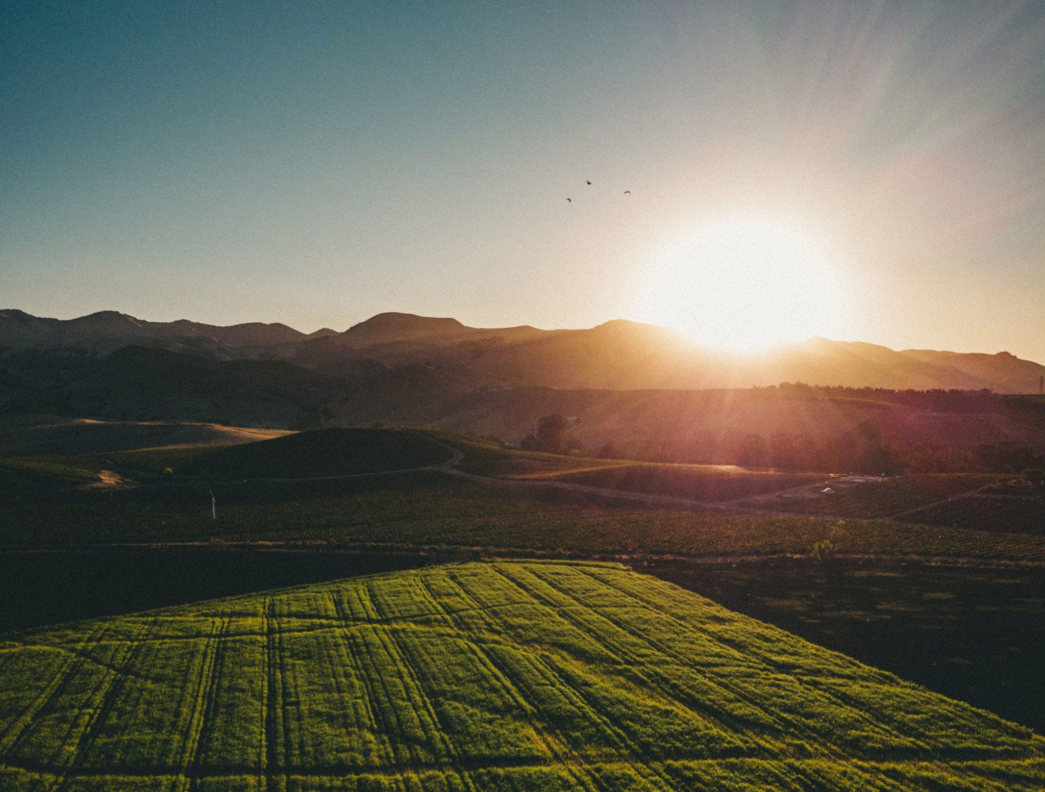 A sun shining over a field.