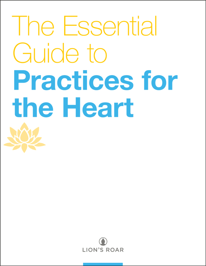 The Essential Guide to Practices for the Heart