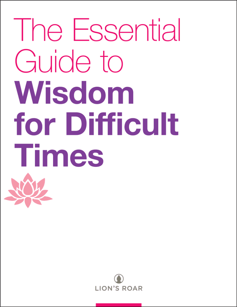 The Essential Guide to Wisdom for Difficult Times