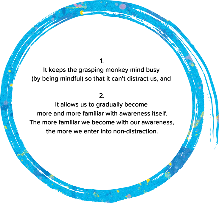 It keeps the grasping monkey mind busy (by being mindful) so that it can’t distract us. And it allows us to gradually become more and more familiar with awareness itself. The more familiar we become with our awareness, the more we enter into non-distraction.